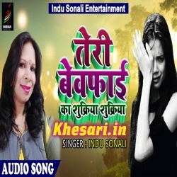 Teri Bewafai Ka Shukriya Shukriya - Indu Sonali Sad Song Download