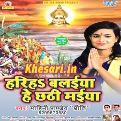 Hariha Balaiya He Chhathi Maiya - Mohini Pandey Mp3 Song Download