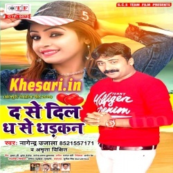 D Se Dil Dh Dhadkan (Nagendra Ujala, Amrita Dixit) New 2019 Mp3 Song