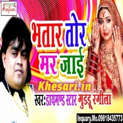 Bhatar Tor Mar Jayi (Guddu Rangeela) 2017 Hot New Album Download