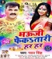 Baldi Me Rangwa Bhara Bhara Bhauji Fektari Har Har.mp3 Pawan Singh New Bhojpuri Mp3 Dj Remix Gana Video Song Download