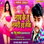 Nach ke Tu Namari Hai Le Ja (Mithu Marshal) Gana Download Mithu Marshal New Bhojpuri Mp3 Dj Remix Gana Video Song Download