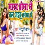 Marab Boma Me Ae Gori Ta Chal Jaibu Koma Me.mp3 Bittu Vinayak New Bhojpuri Mp3 Dj Remix Gana Video Song Download