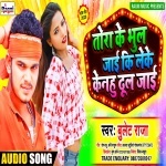 Tora Ke Bhul Jaai Ki Leke Kenhu Dhul Jaai (Bullet Raja) Bullet Raja New Bhojpuri Mp3 Dj Remix Gana Video Song Download