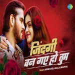 Milte Milte Ka Kaila (Video Song).mp4 Arvind Akela Kallu Ji, Shilpi Raj New Bhojpuri Mp3 Dj Remix Gana Video Song Download