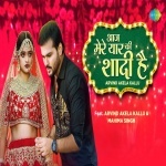Mere Pyar Se Sadi Hai (Video Song).mp4 Arvind Akela Kallu Ji New Bhojpuri Mp3 Dj Remix Gana Video Song Download