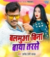 Balamua Bina Baya Tarse (Pramod Premi Yadav) Pramod Premi Yadav Bhojpuri Mp3 Song Dj Remix Video Gana Download