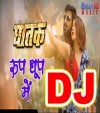 Roop Dhoop Me Gajabe Khub Chamkata Rani Dj Remix