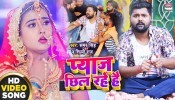 Ham Pyaj Chhil Rahe Hai Iski Sadi Ho Rahi (Video Song)