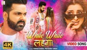 White White Lahanga Mera Karna Chahe Lal Re Dalne Na Dungi Tu Ja Re (Video Song)