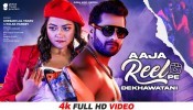 Aaja Reel Pe Dekhawatani (Video Song)