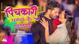 Pichkari Pakad Ke Video Song Download Khesari Lal Yadav, Neha Raj